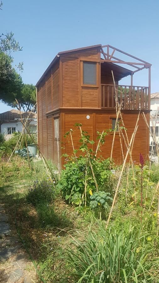 Casa de madera de Sancti Petri Chiclana de la Frontera Exterior foto